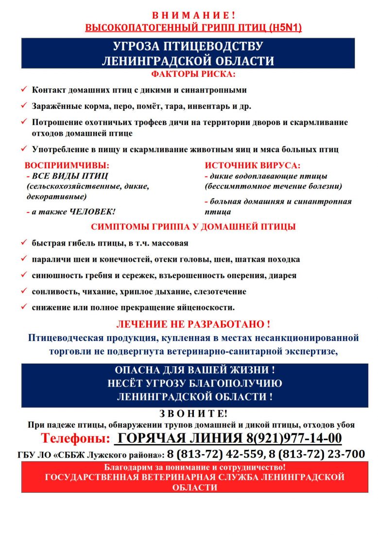 В Н И М А Н И Е ! ВЫСОКОПАТОГЕННЫЙ ГРИПП ПТИЦ (Н5N1) УГРОЗА ПТИЦЕВОДСТВУ ЛЕНИНГРАДСКОЙ  ОБЛАСТИ | Володарское сельское поселение